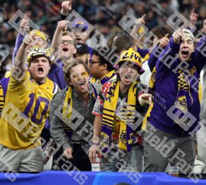LSU Tigers Placemats