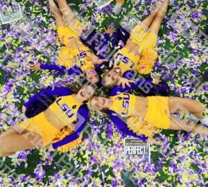 LSU Tigers Desk Mat