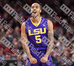 LSU Tigers Helmet Pad