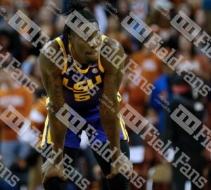 LSU Tigers Screensavers