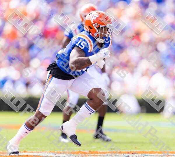 Florida Gators Screensavers